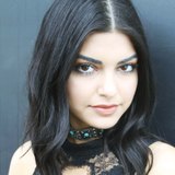 collection-img